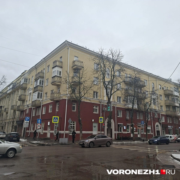 Источник: Алёна Воропаева / Voronezh1.ru