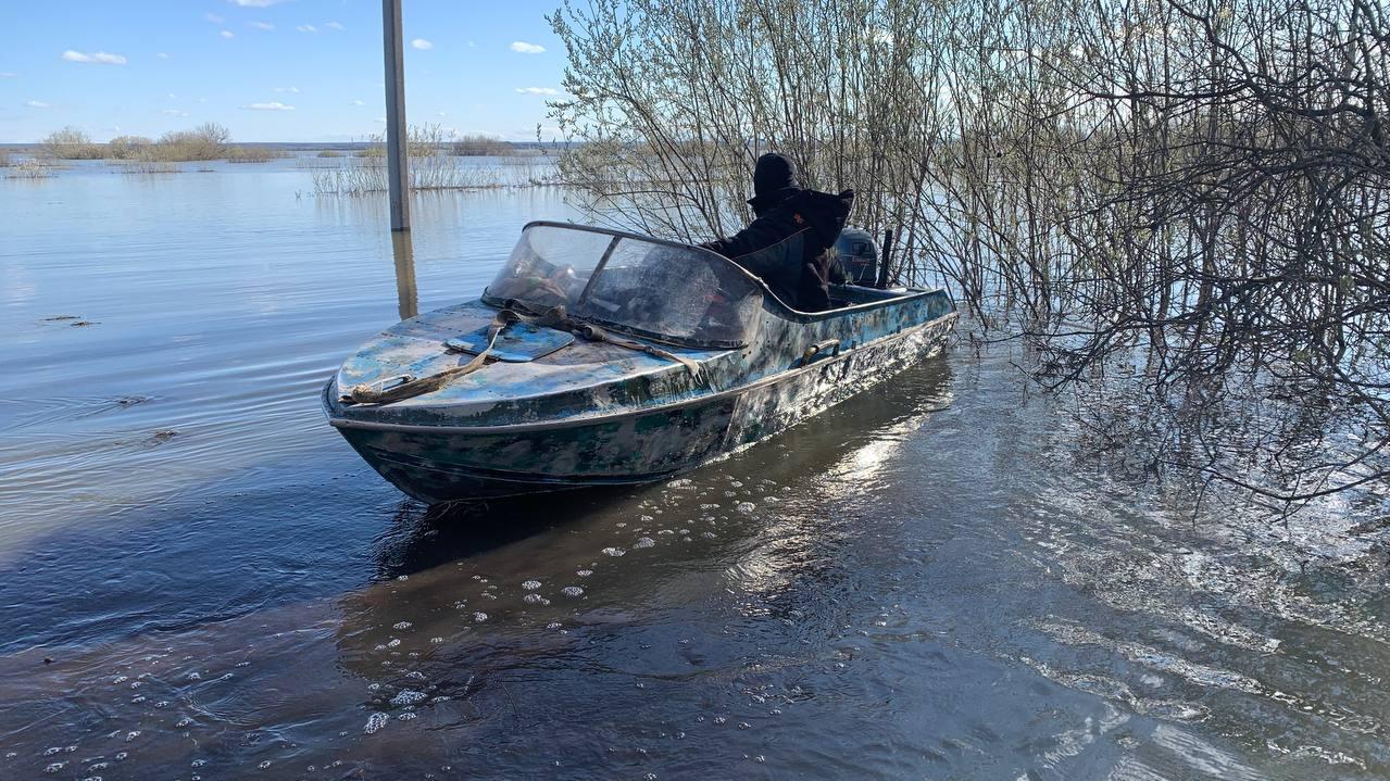 Паводковая ситуация в тюмени