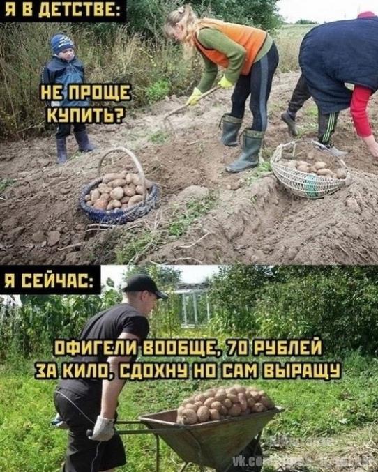 Время собирать урожай :-)) Здравствуйте, уважаемые, Приятного, времени, суток