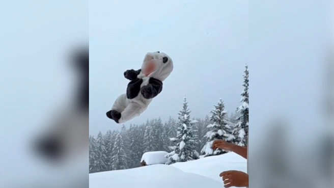 Блогера Косенко, бросившего ребенка в снег, повторно объявили в розыск | Источник:  скриншот видео