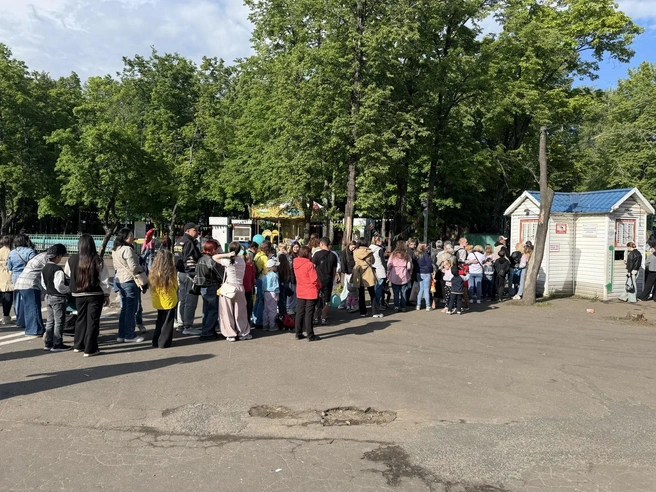 Огромная очередь за билетами на аттракционы на Даманском острове | Источник: Александр Куренной / 76.RU