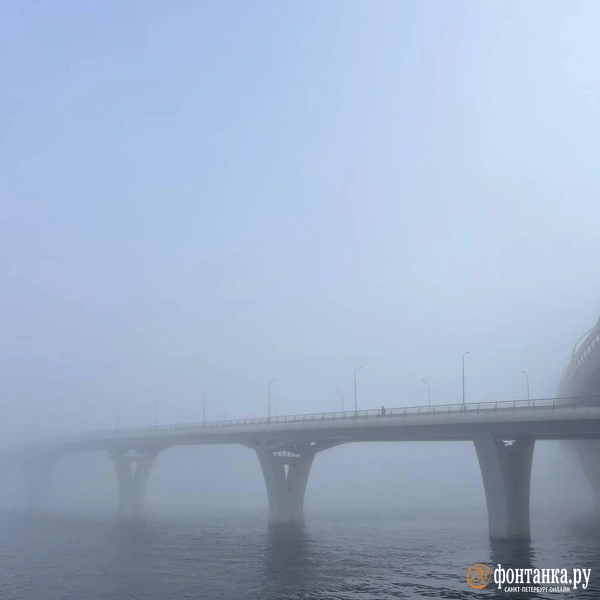 Источник: читатель «Фонтанки»