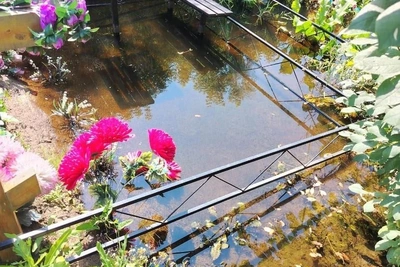 Ново-Южное кладбище подтопило, вода по колено