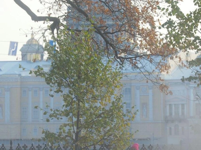 Два циклона определяют погоду в Петербурге 27 октября | Источник: Михаил Огнев / «Фонтанка.ру»