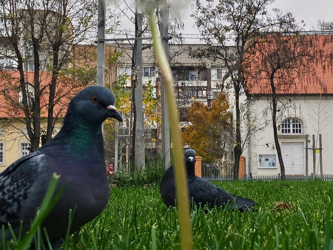 Источник: Юлия Воропаева