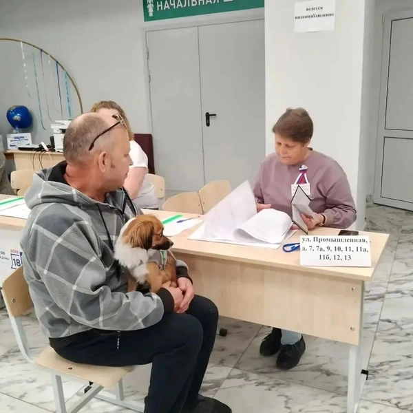 Источник: Общественная палата Волгоградской области