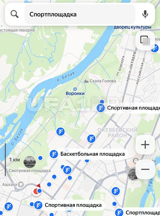 Спорт и правда доступен, но не везде | Источник: yandex.ru/maps