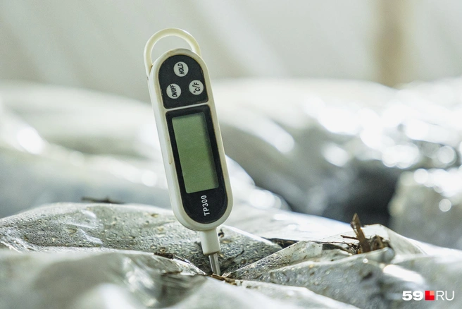 Для созревания и роста шампиньонов нужна определенная температура&nbsp;— ее периодически измеряют | Источник: Тимофей Калмаков / 59.RU