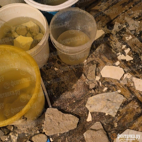 Источник: читатель «Фонтанки»