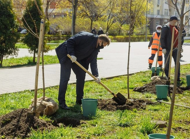 Любимов посадил саженцы клена в сквере имени Маргелова | ya62.ru