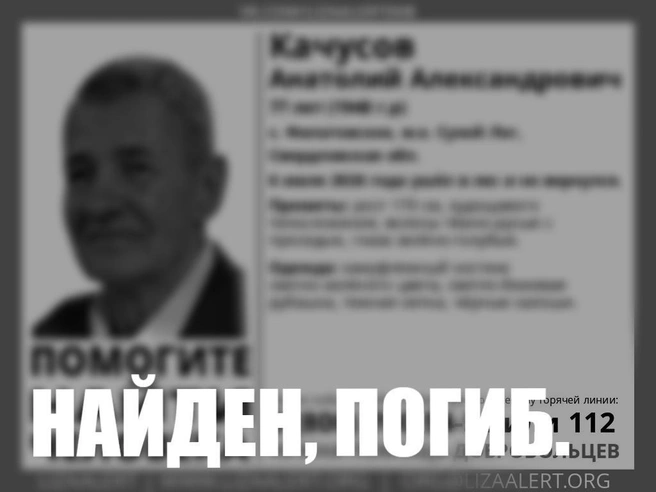 Тело грибника обнаружили спустя несколько дней поисков | Источник: поисковой отряд «ЛизаАлерт»
