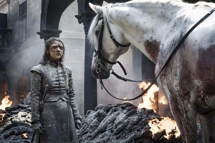 Кит Харингтон отменяется: HBO готовит сиквел с Арьей Старк вместо проекта о Джоне Сноу | marieclaire.kz