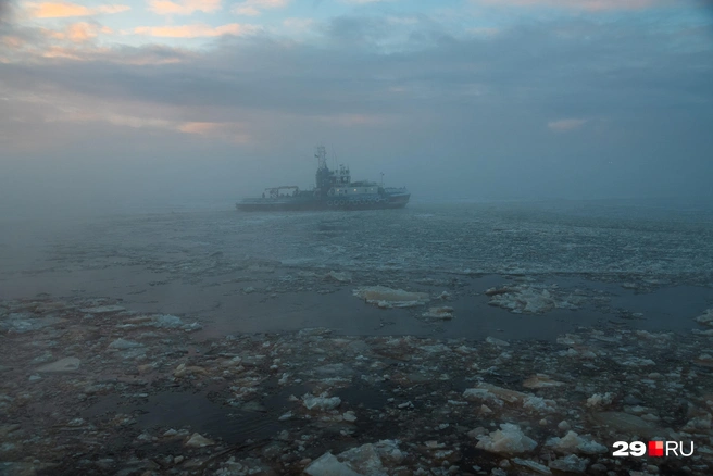 Источник: Иван Митюшёв / 29.RU