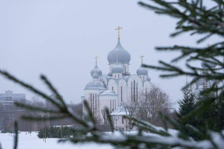 Какой праздник сегодня, 10 декабря 2023, в России и мире