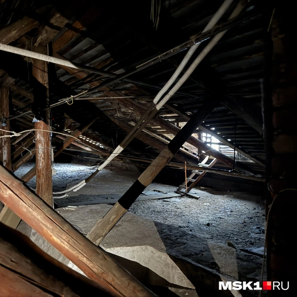 Источник: Алина Мельникова / MSK1.RU