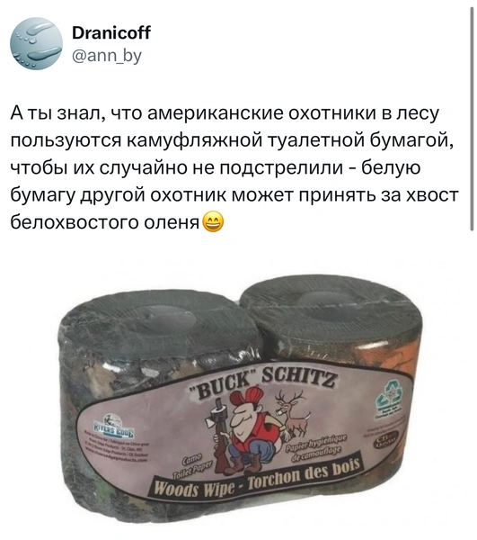 Источник: X (Twitter)