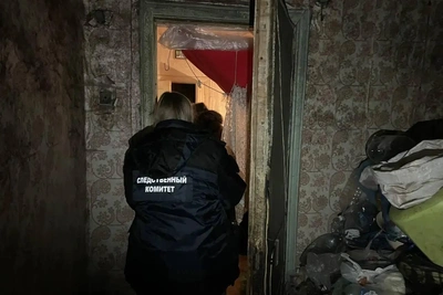 Девочка погибла, упав с качелей в Малиновке