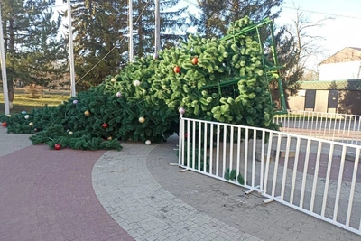 Главные елки демонтировали из-за сильного ветра