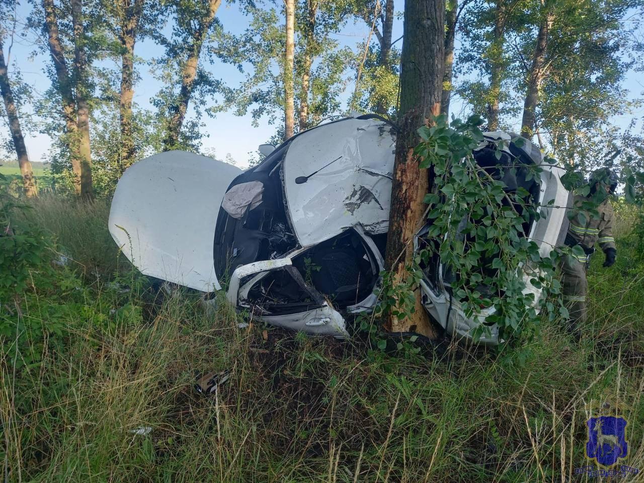 «Гранту» намотало на дерево: на трассе в Самарской области погиб 26-летний водитель