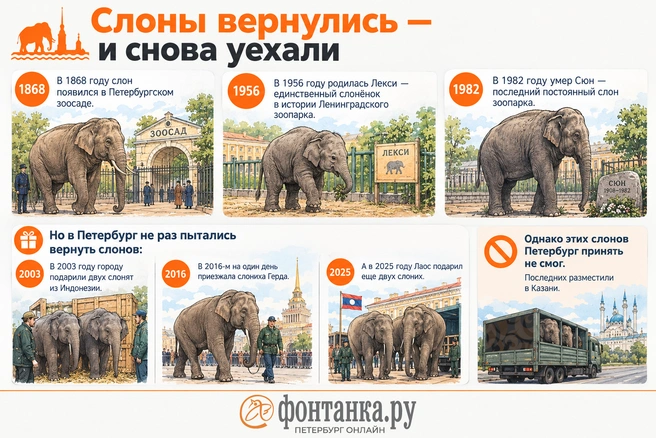 Слоны вернулись в Петербург | Источник: Кирилл Григошин / «Фонтанка.ру»
