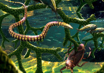 Палеонтологи изучили окаменелости «четырехногой змеи»