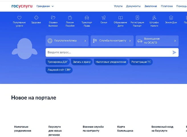 В работе приложения и сайта «Госуслуги» произошел сбой | ya62.ru