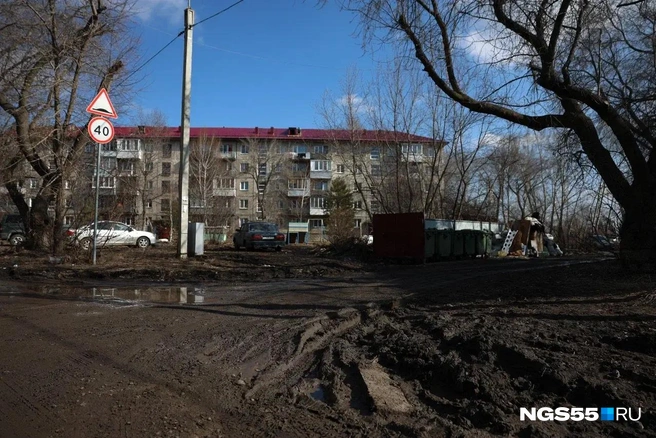 Омичи уверены, что в городе не хватает асфальта | Источник: Евгений Софийчук / NGS55.RU