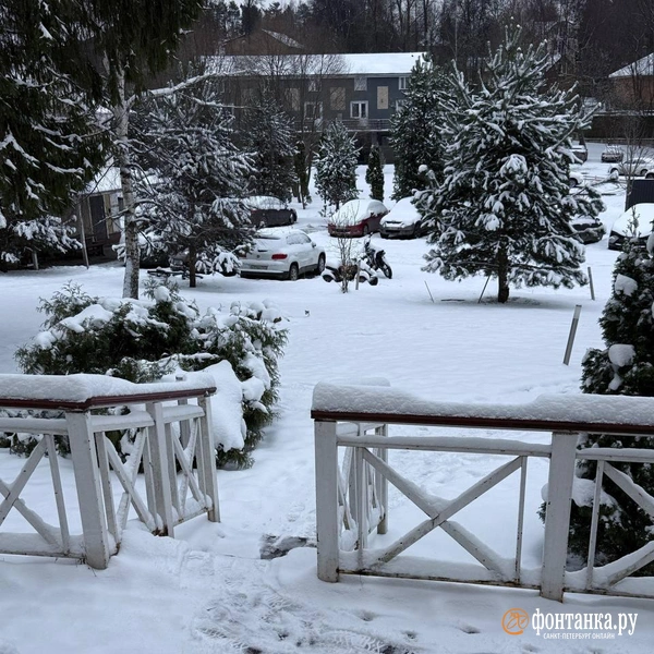 Источник: Читатель «Фонтанки» Андрей