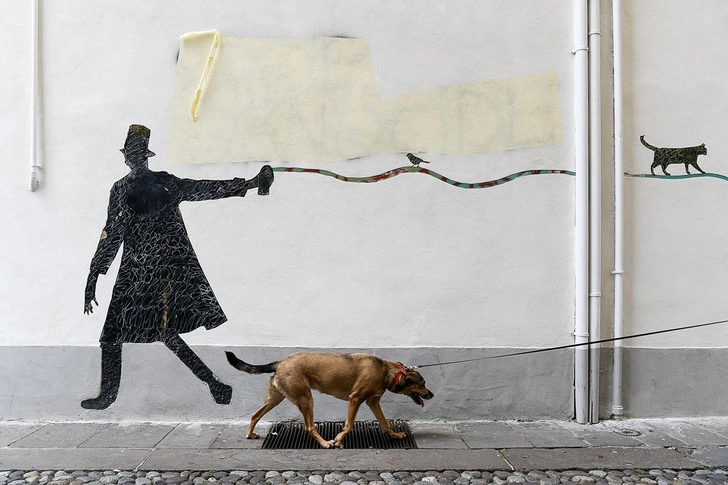 Подведены итоги конкурса уличных фотографий Pure Street Photography Awards 2026: оцените снимки победителей | Источник: Gerard Luthi / Pure Street Photography Awards 2026