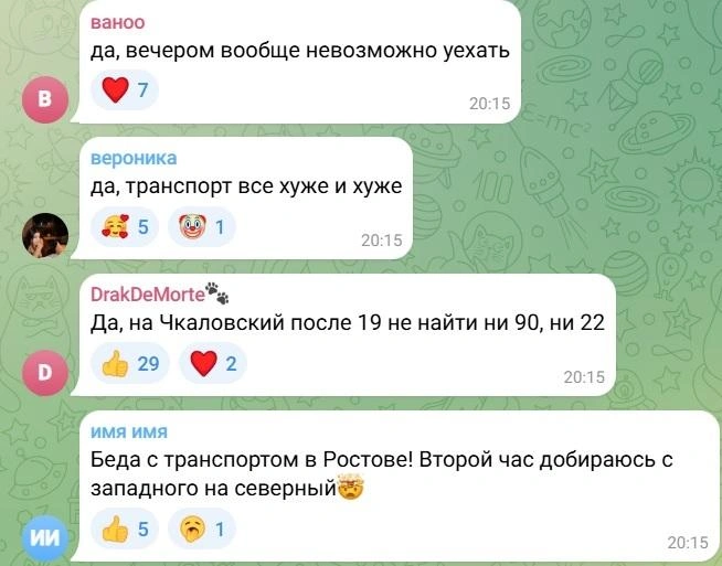Источник: news161ru / T.me