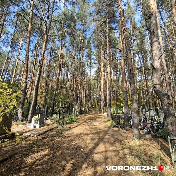 Источник: Алёна Воропаева / Voronezh1.ru
