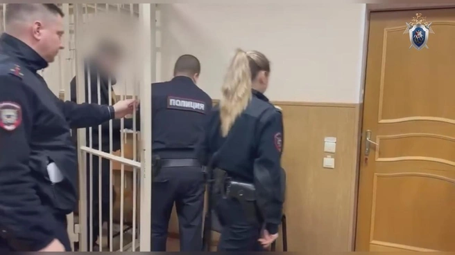 Подростка, подозреваемого в убийстве отца в Ленобласти, отправили в СИЗО | Источник: СУ СК РФ по Ленинградской области