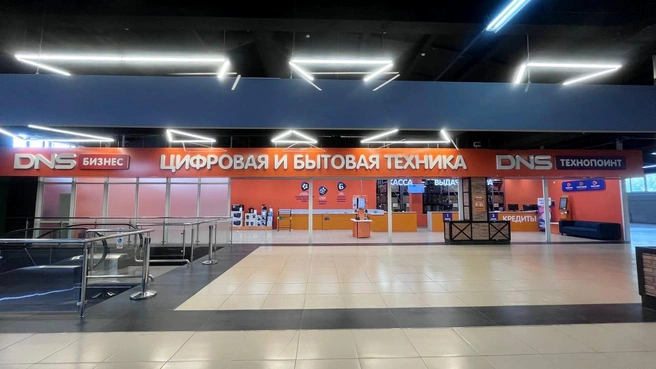 В DNS вы найдете бытовую технику, электронику, стройинструменты и игровые консоли с комплектующими | Источник: «Тандем»