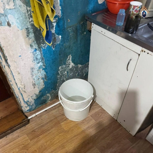 Источник: Прокуратура Омской области