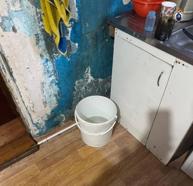 Ребенок упал в ведро  | Источник: Прокуратура Омской области / Telegram 