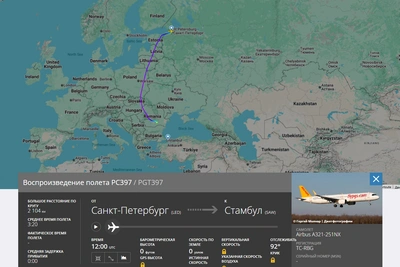 Самолет экстренно сел в Румынии по пути в Стамбул