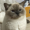 userpic__abdrasulova111