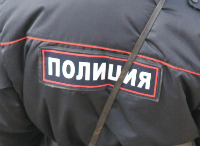 Рязанке, оскорбившей полицейского, вынесли приговор | ya62.ru