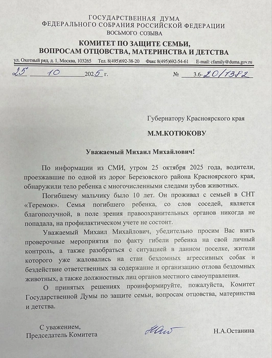 Официальный запрос в адрес Михаила Котюкова депутат Останина направила 25 октября 2025 года | Источник: Нина Останина / vk.com