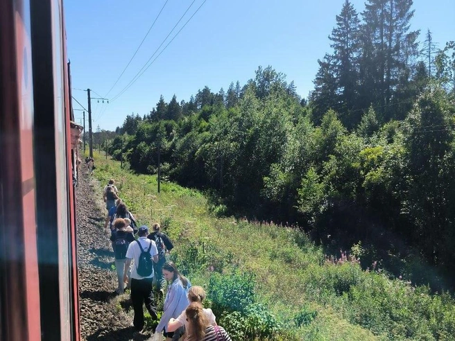 Остановку в Гатчинском районе пассажирам объясняли техническими причинами | Источник: читательница «Фонтанки» Надежда