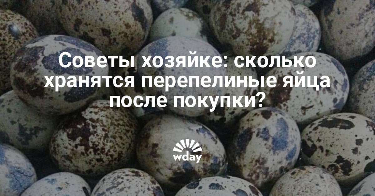 Сколько можно держать яйца. Срок хранения перепелиных яиц. Срок годности перепелиных яиц. Хранение перепелиных яиц. Сколько можно хранить перепелиные яйца.
