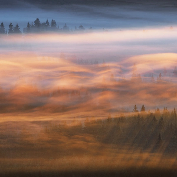 Финалист в номинации «Пейзаж» | Источник: Martin Rak / European Wildlife Photographer of the Year 2025