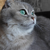 userpic__Татьяна_Д