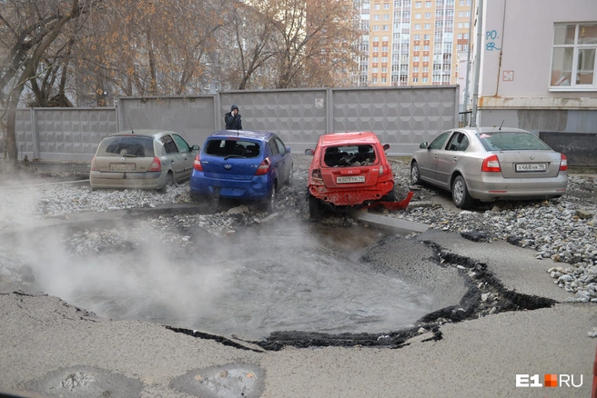 Иногда за убитую ласточку приходится платить муниципалитету | Источник: Артём Устюжанин / E1.RU