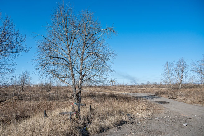 Кузбасс ввел штрафы за мемориалы вне кладбищ | 142.ru