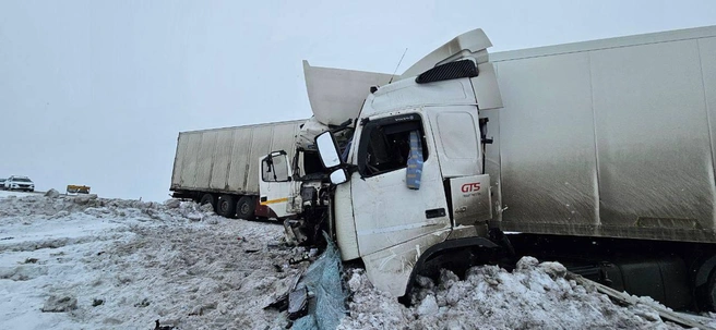 Водитель Volvo из Новосибирской области остался жив | Источник: Прокуратура Тюменской области / t.me