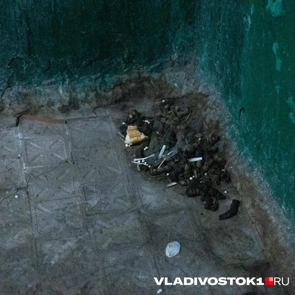 Источник: Елена Буйвол / VLADIVOSTOK1.RU