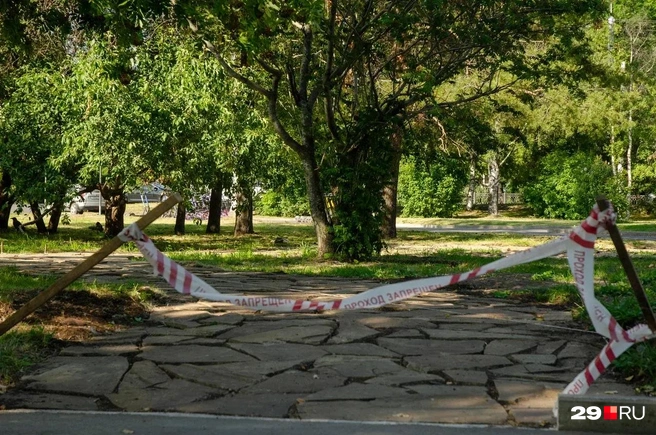 Источник: Александр Тонких