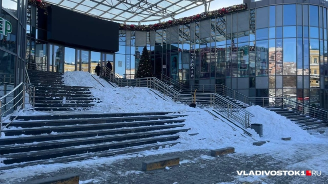 Источник: Елена Буйвол / VLADIVOSTOK1.RU