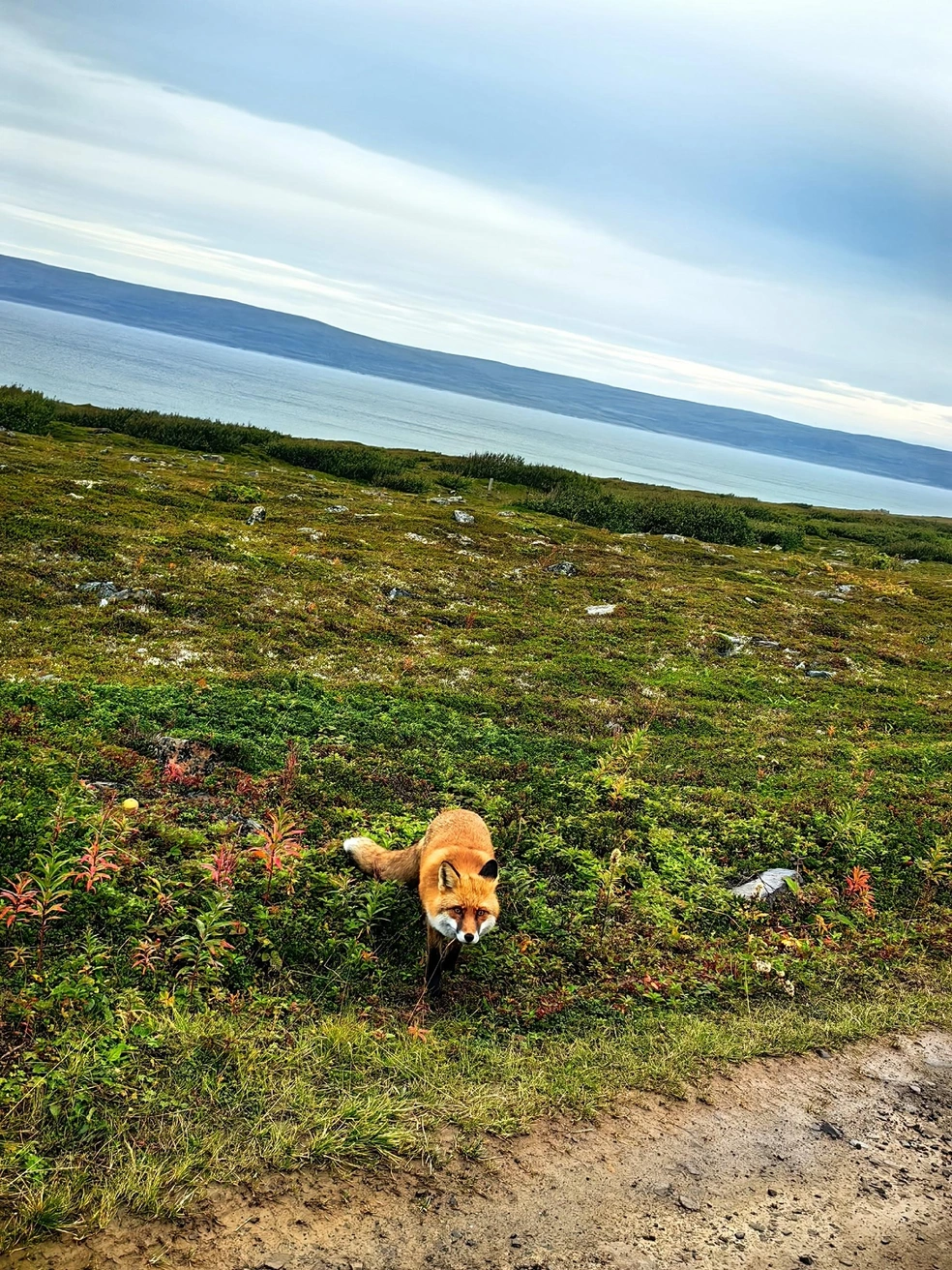 Источник: Ольга Каренина / Личный архив